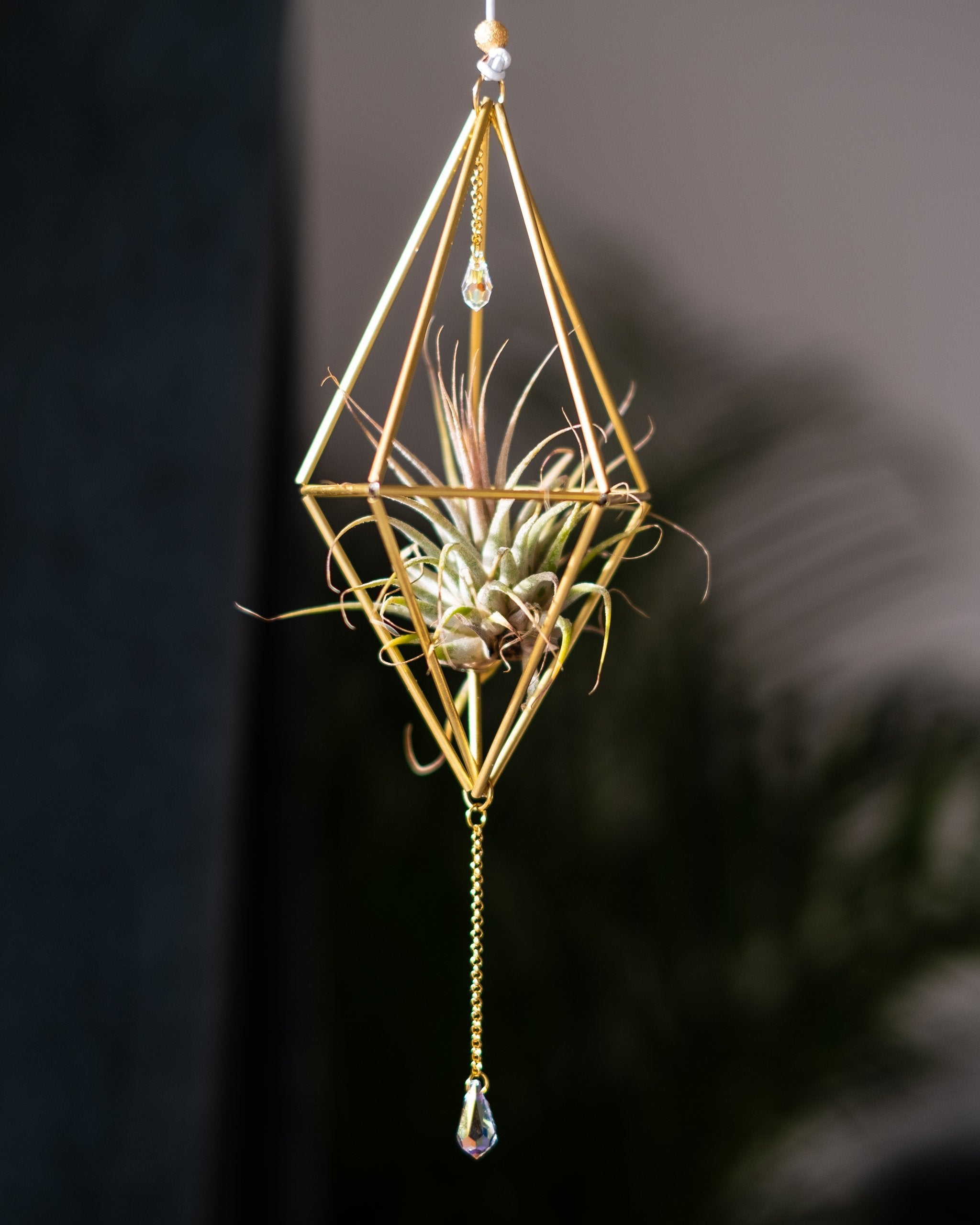 Himmeli № 001 - plantsnobiety