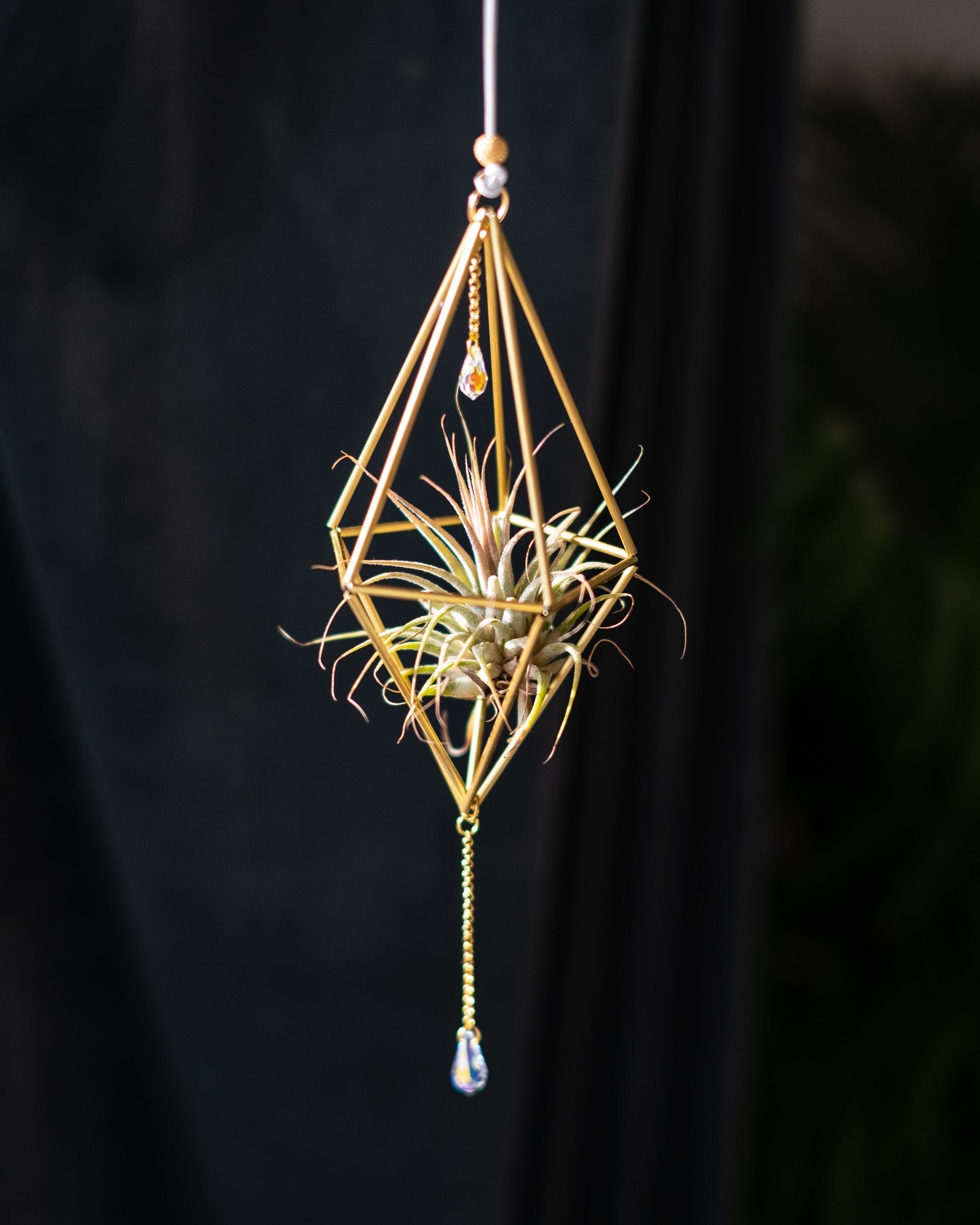 Himmeli № 001 - plantsnobiety