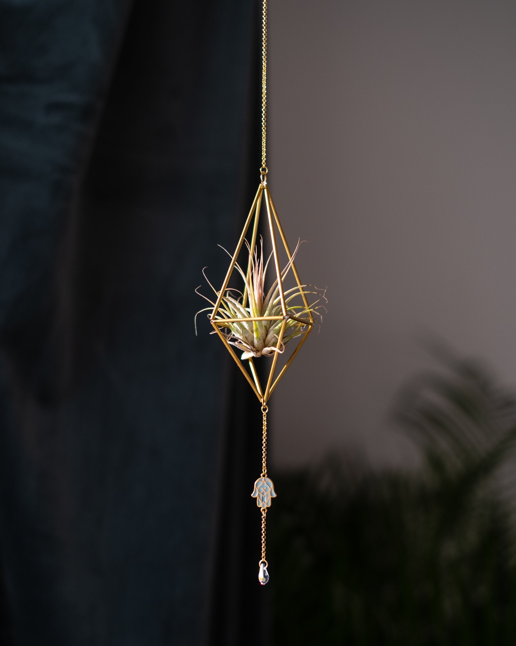 Himmeli № 002 - plantsnobiety