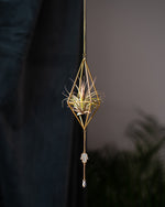 Himmeli № 002 - plantsnobiety