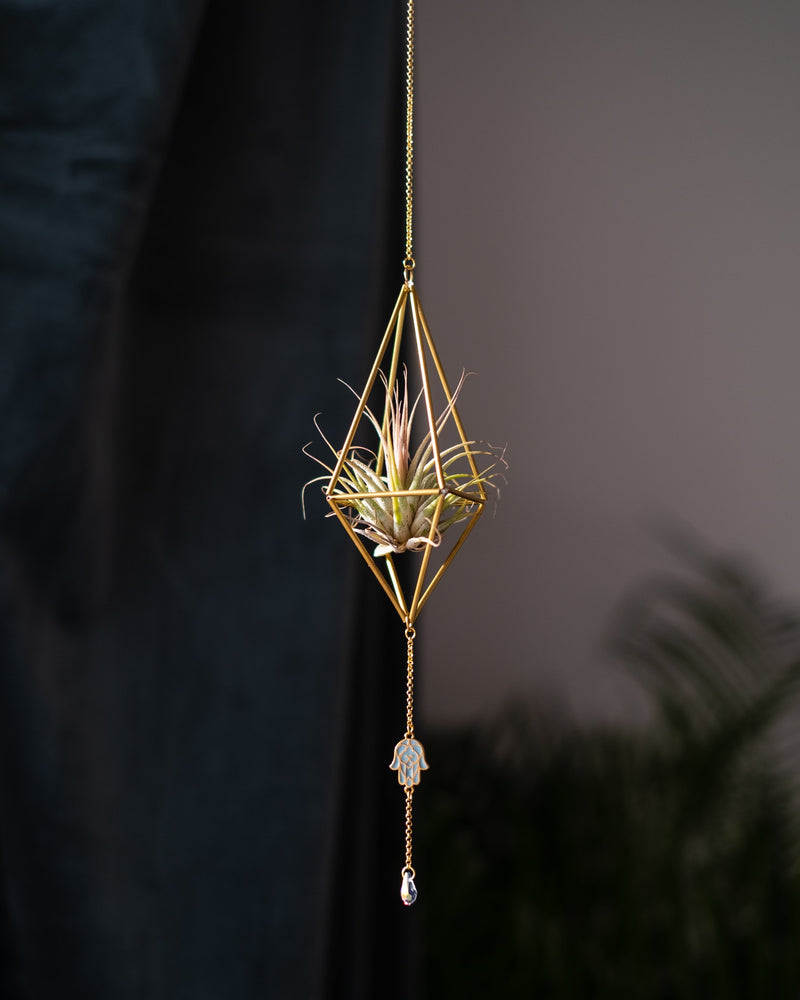 Himmeli № 002 - plantsnobiety