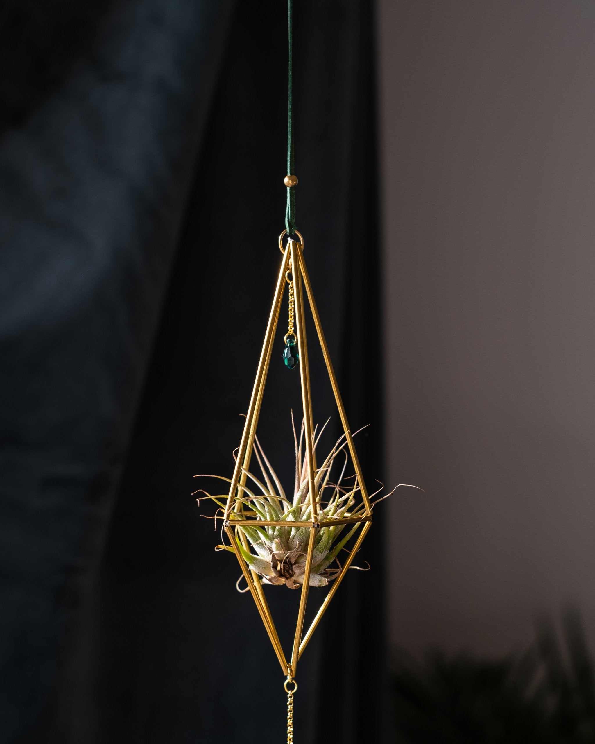 Himmeli № 003 - plantsnobiety