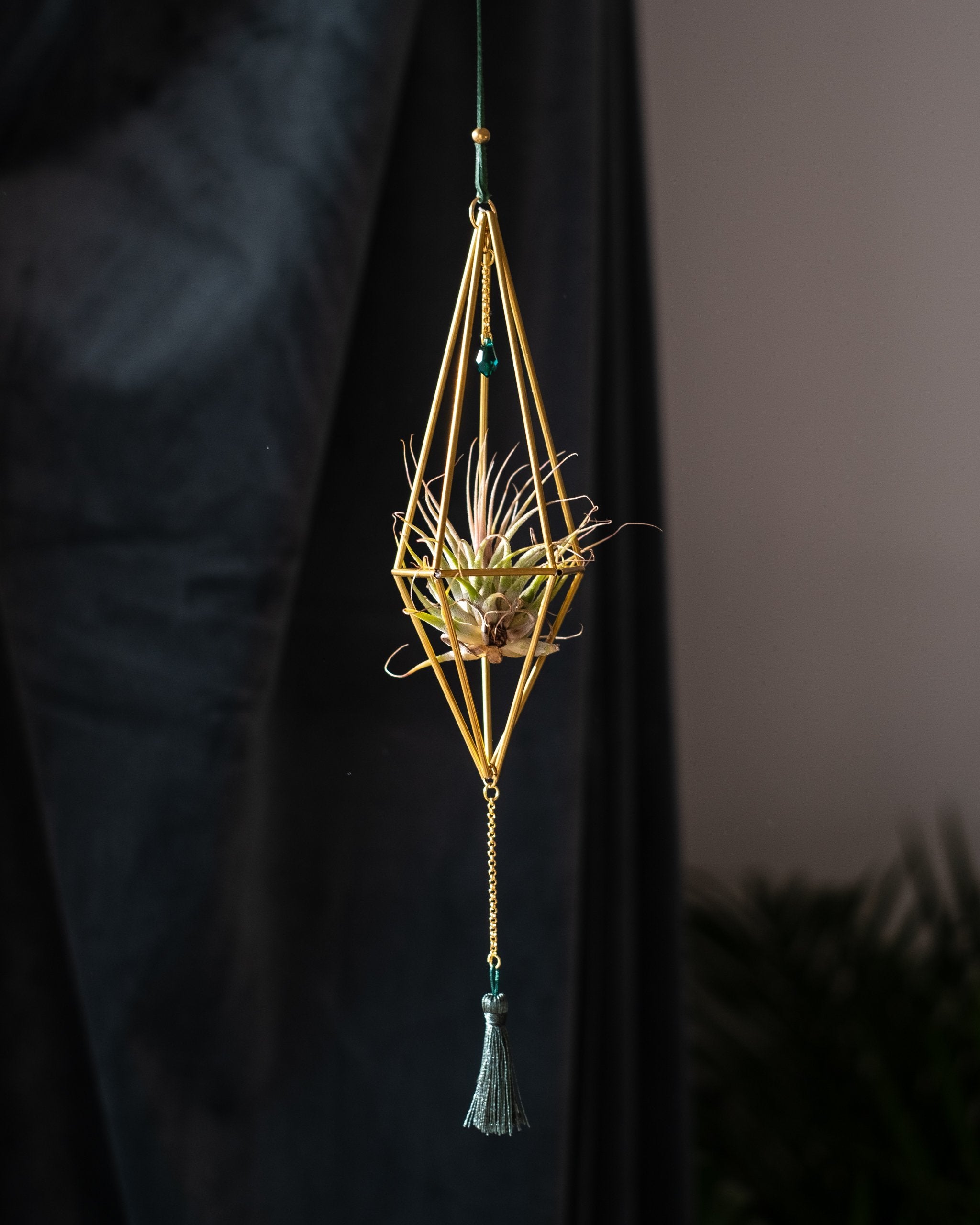 Himmeli № 003 - plantsnobiety