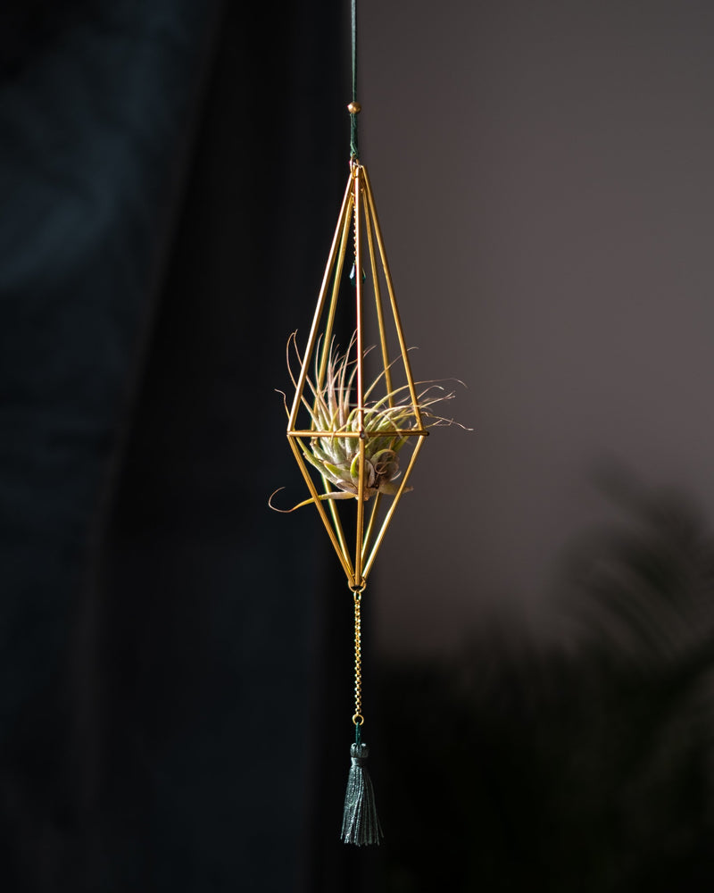 Himmeli № 003 - plantsnobiety