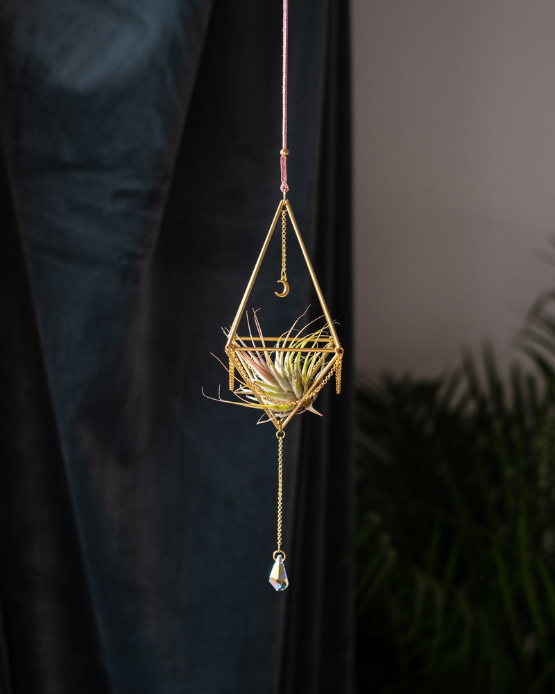 Himmeli № 004 - plantsnobiety