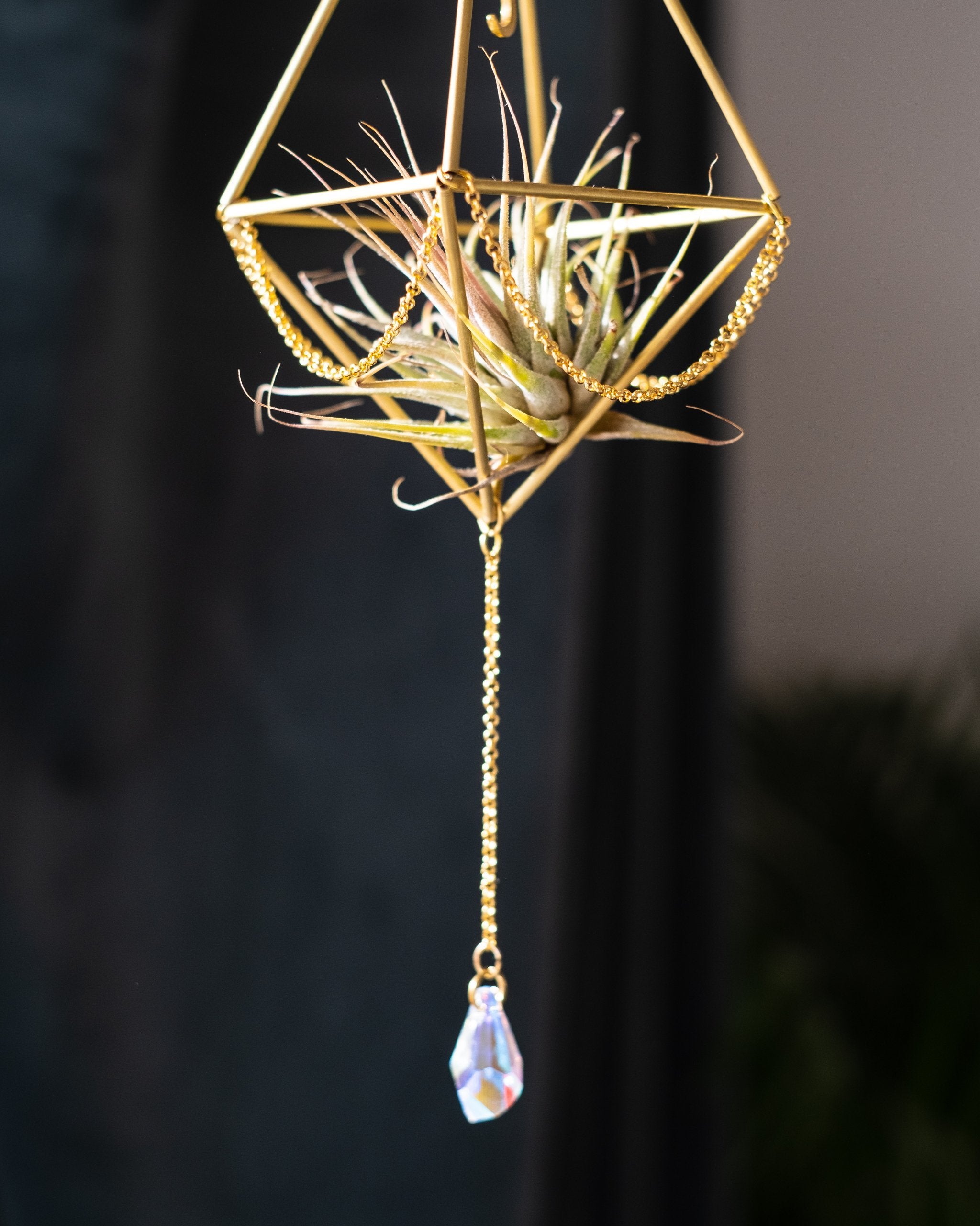 Himmeli № 004 - plantsnobiety