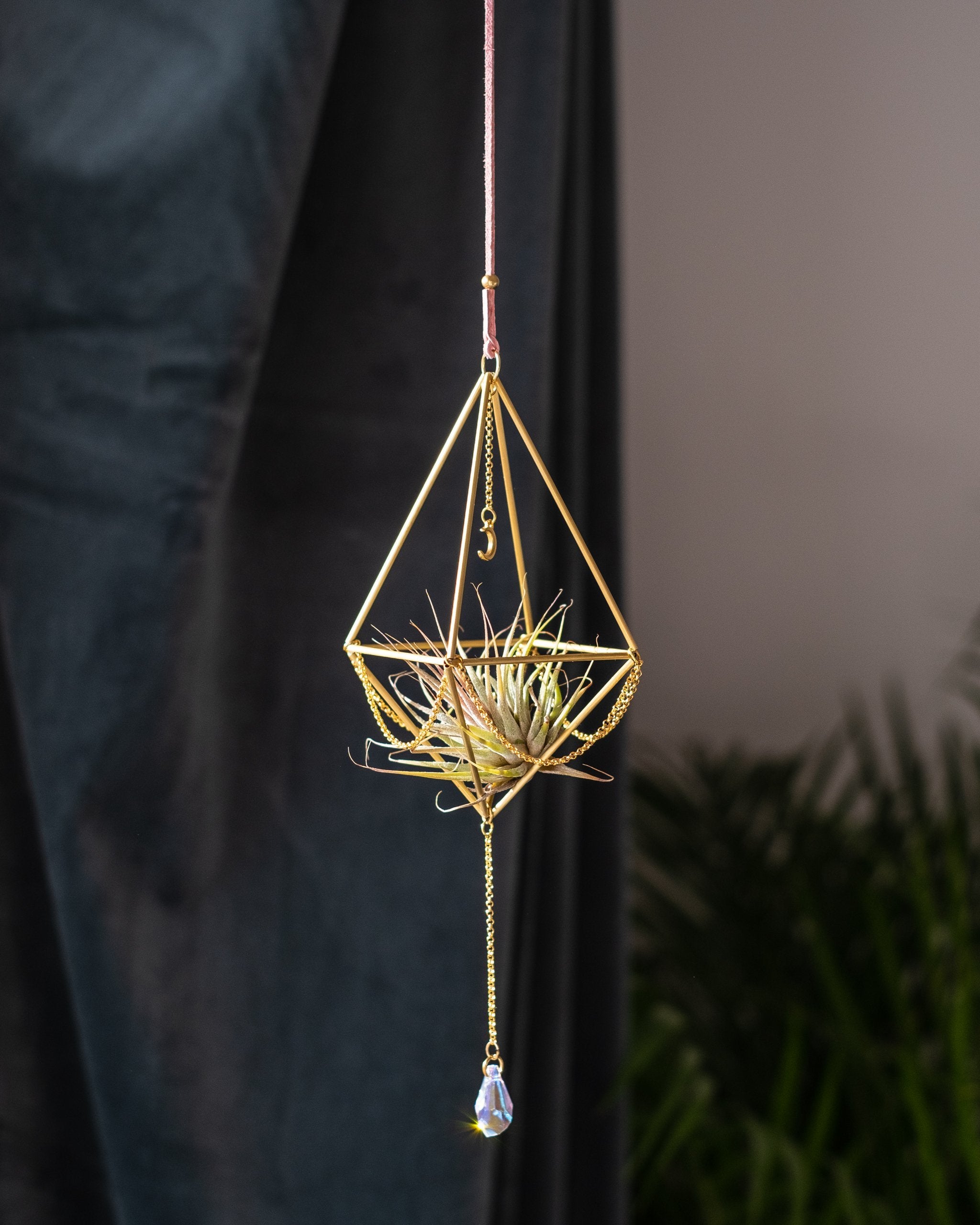 Himmeli № 004 - plantsnobiety