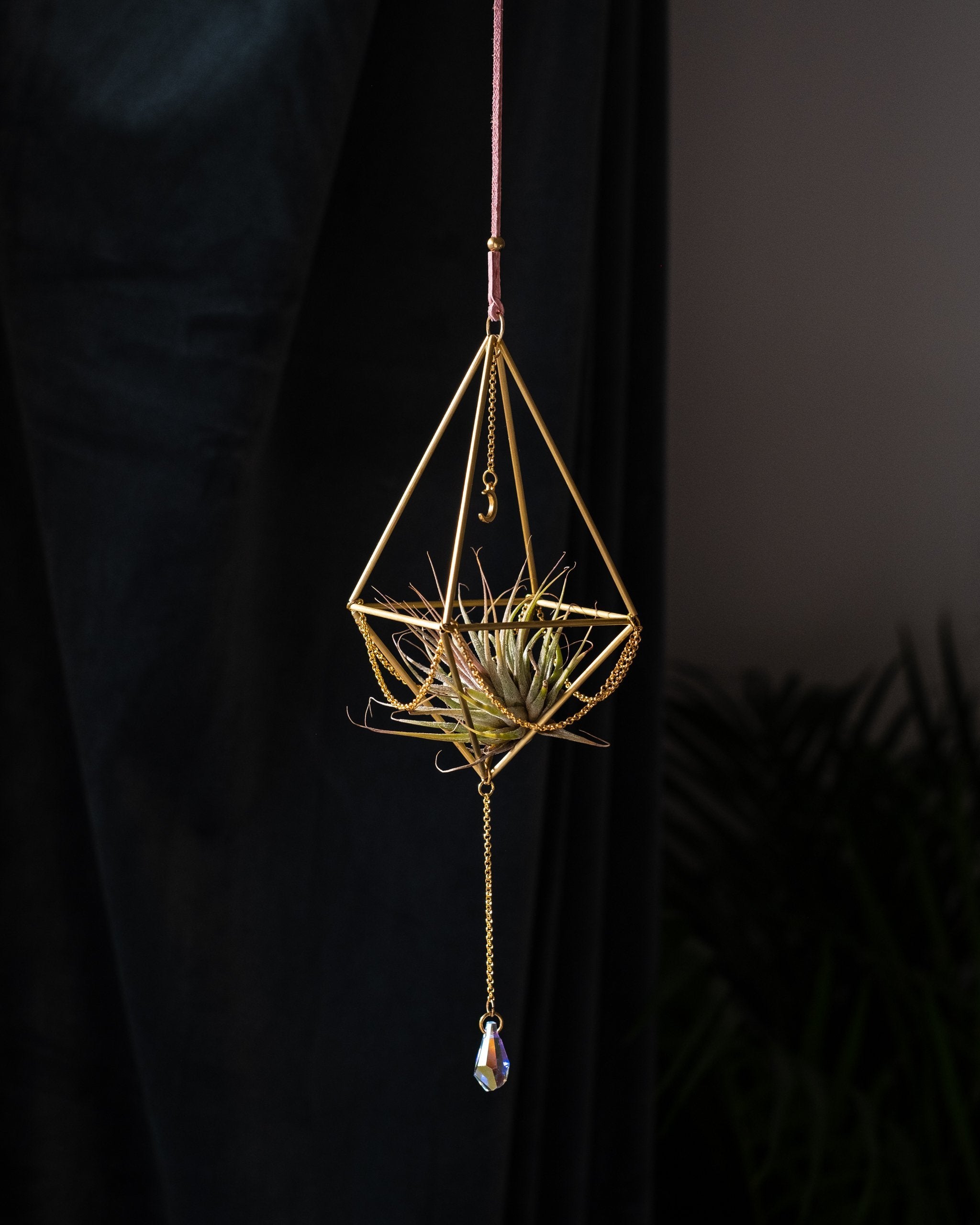 Himmeli № 004 - plantsnobiety