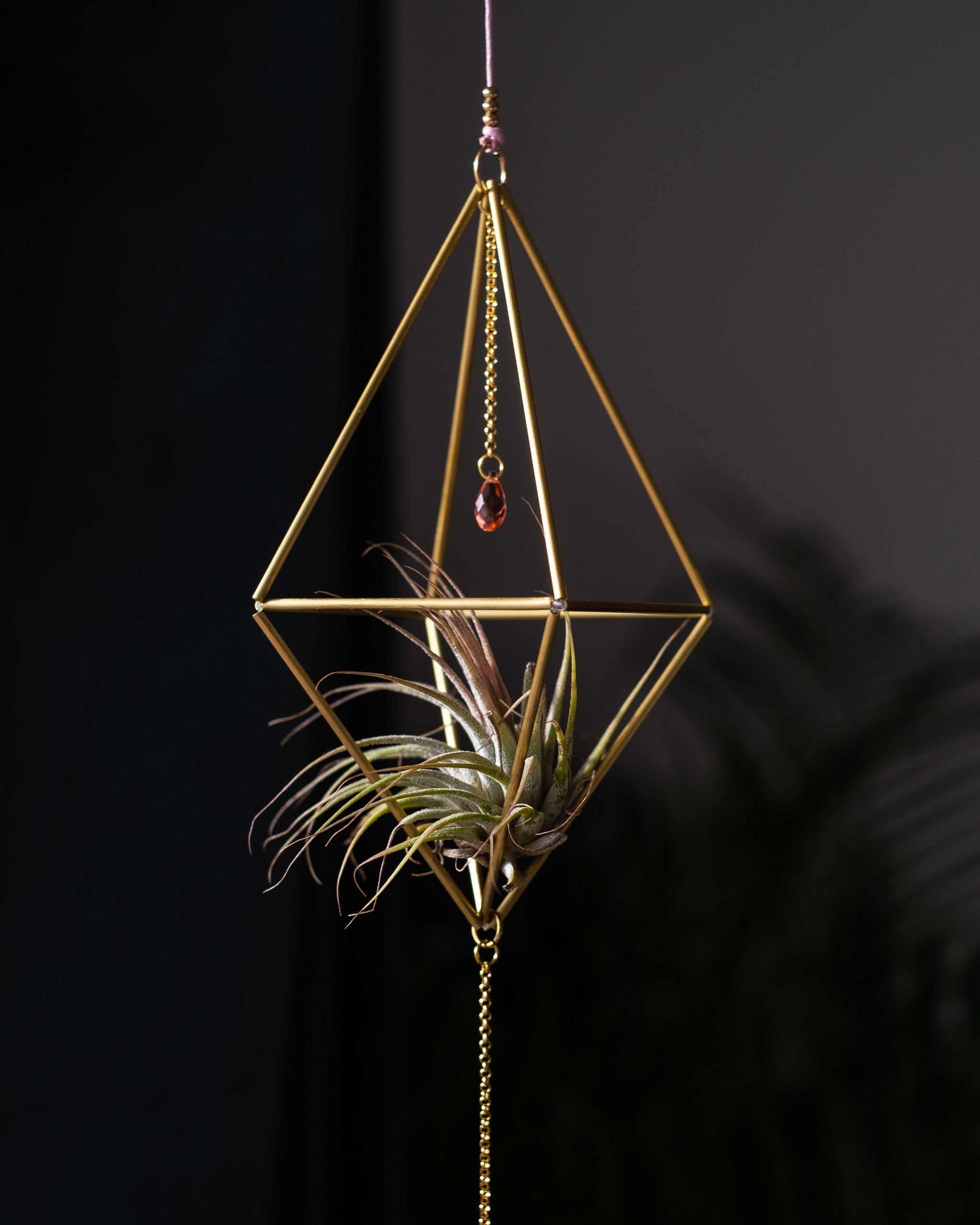 Himmeli № 005 - plantsnobiety