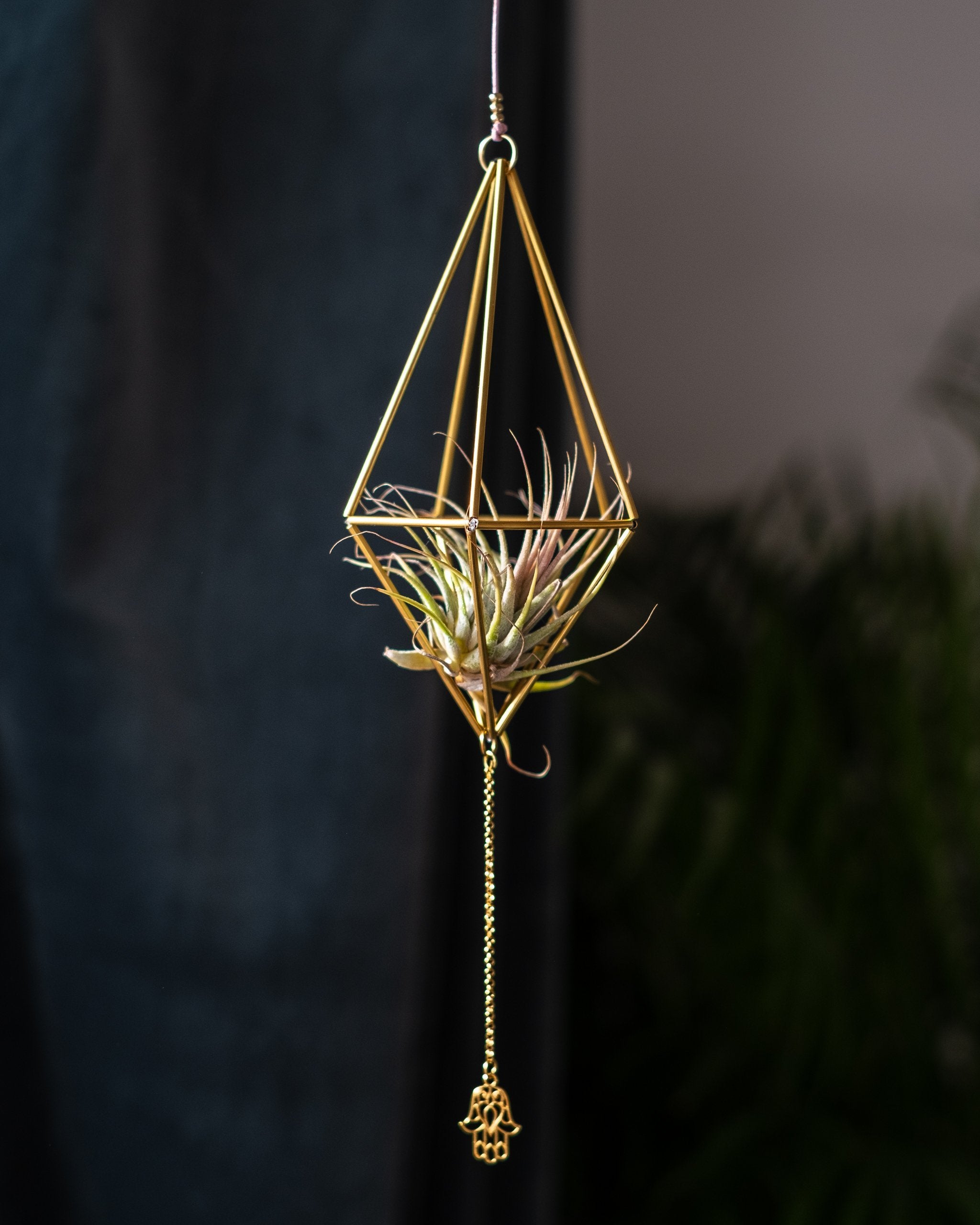 Himmeli № 006 - plantsnobiety