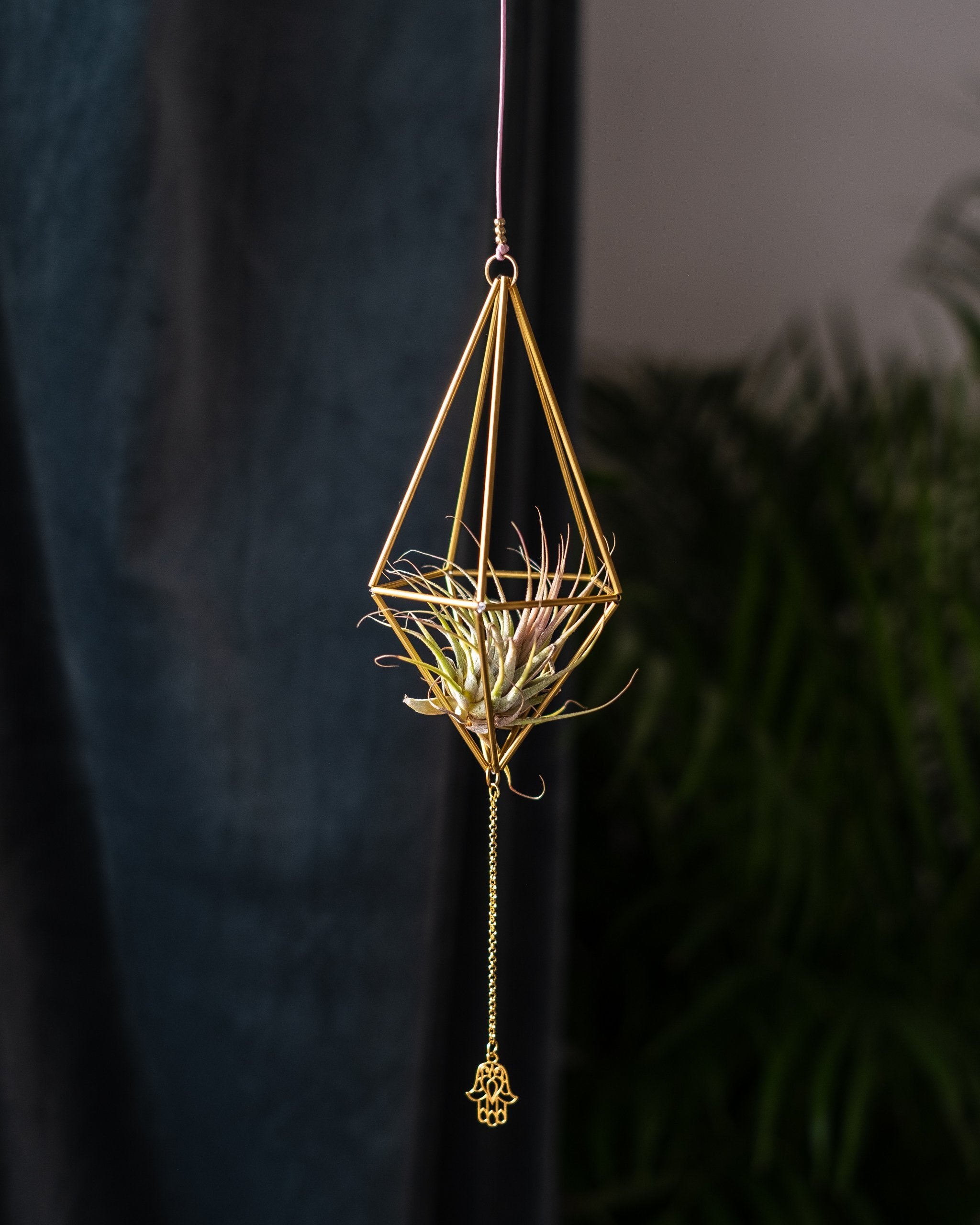 Himmeli № 006 - plantsnobiety