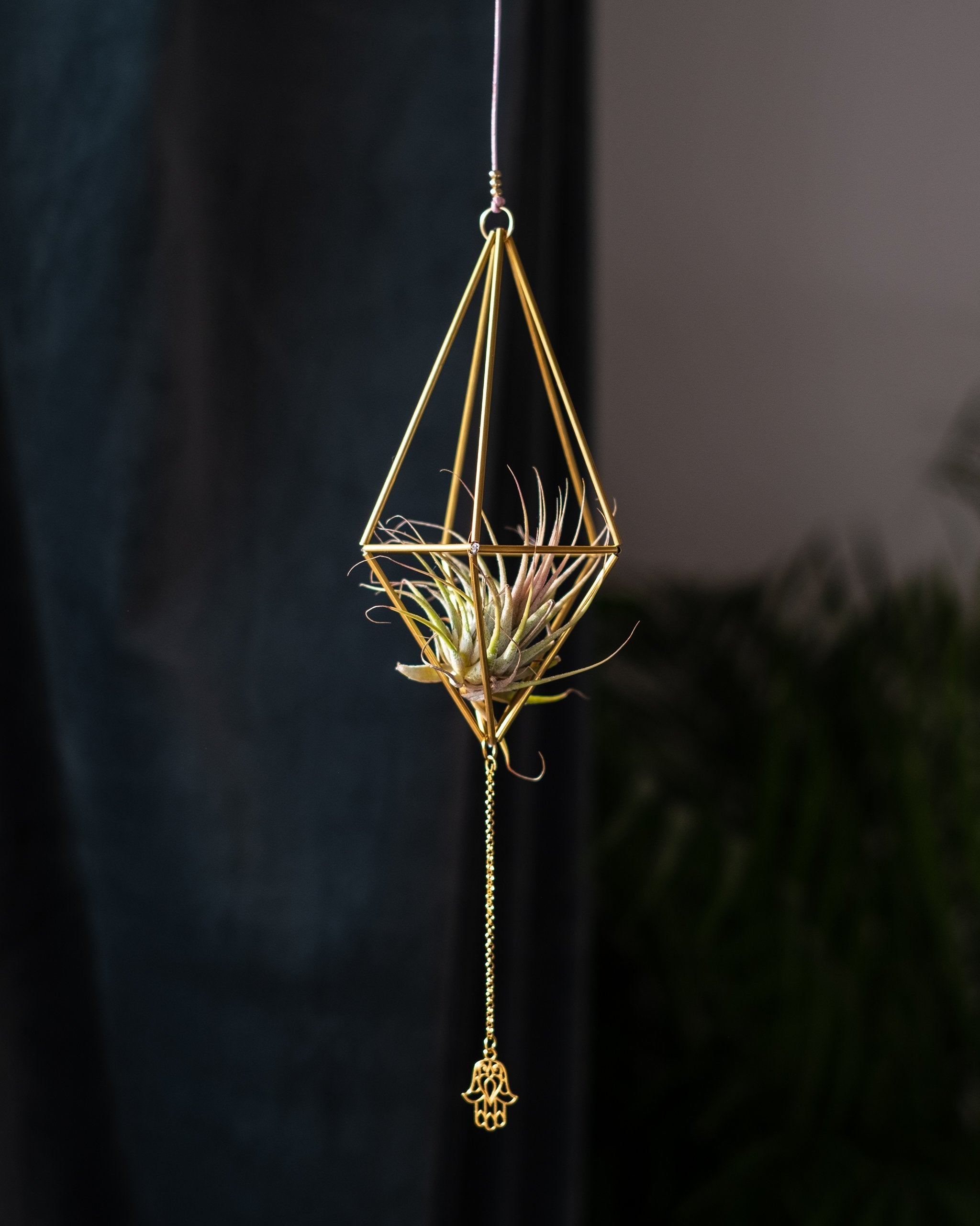 Himmeli № 006 - plantsnobiety