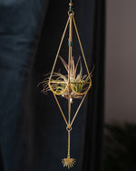 Himmeli № 007 - plantsnobiety