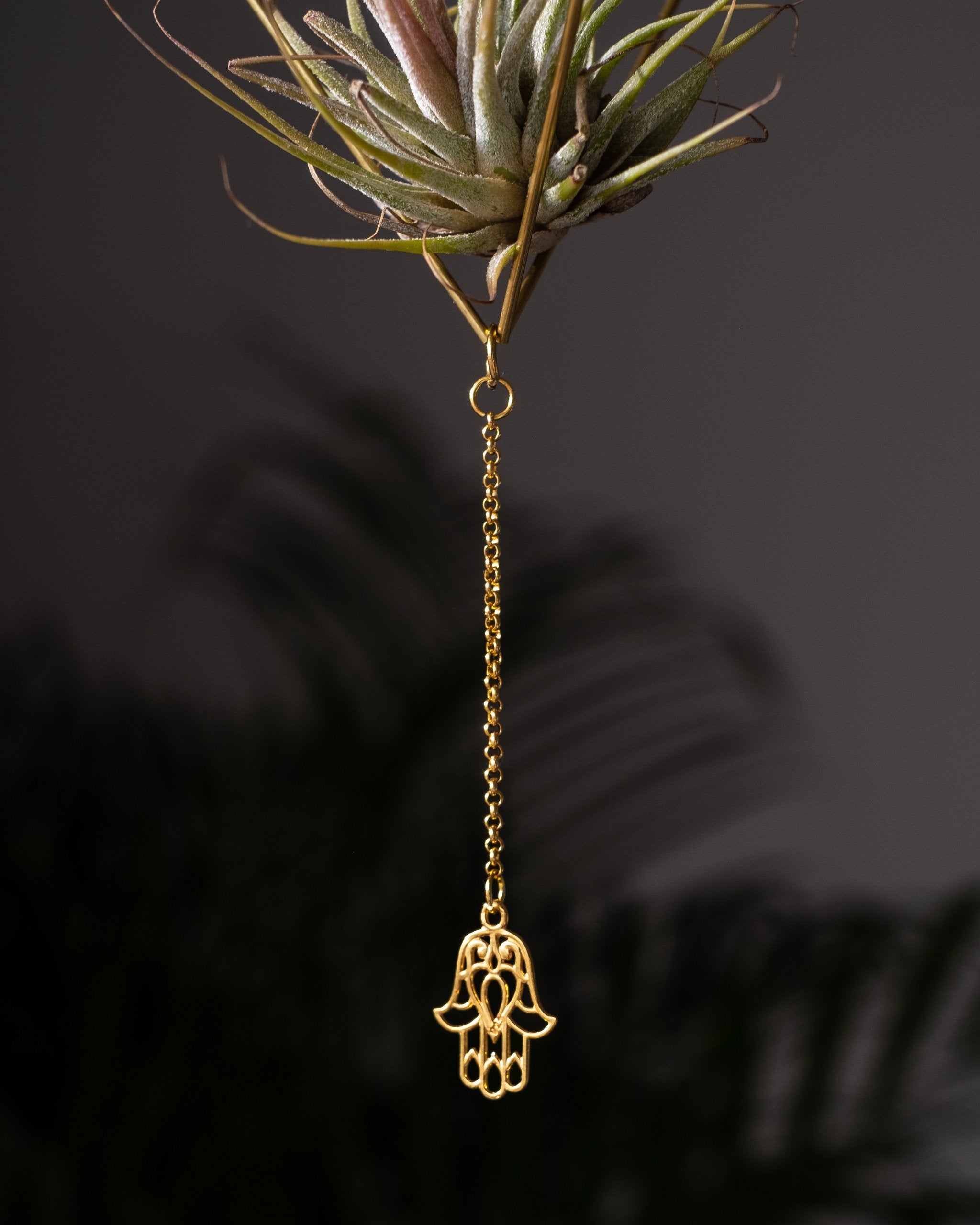 Himmeli № 008 - plantsnobiety