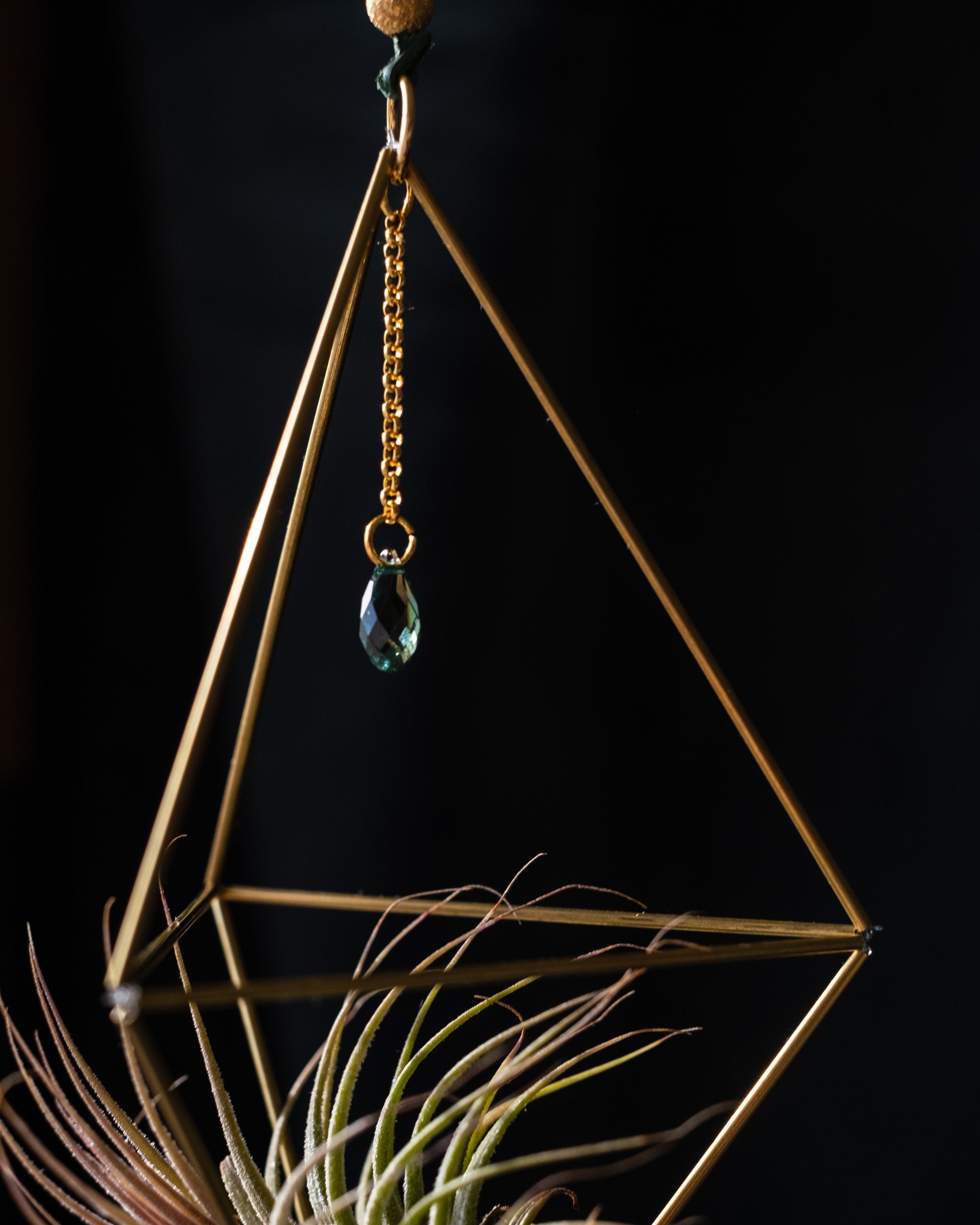 Himmeli № 008 - plantsnobiety