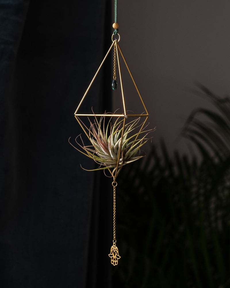 Himmeli № 008 - plantsnobiety