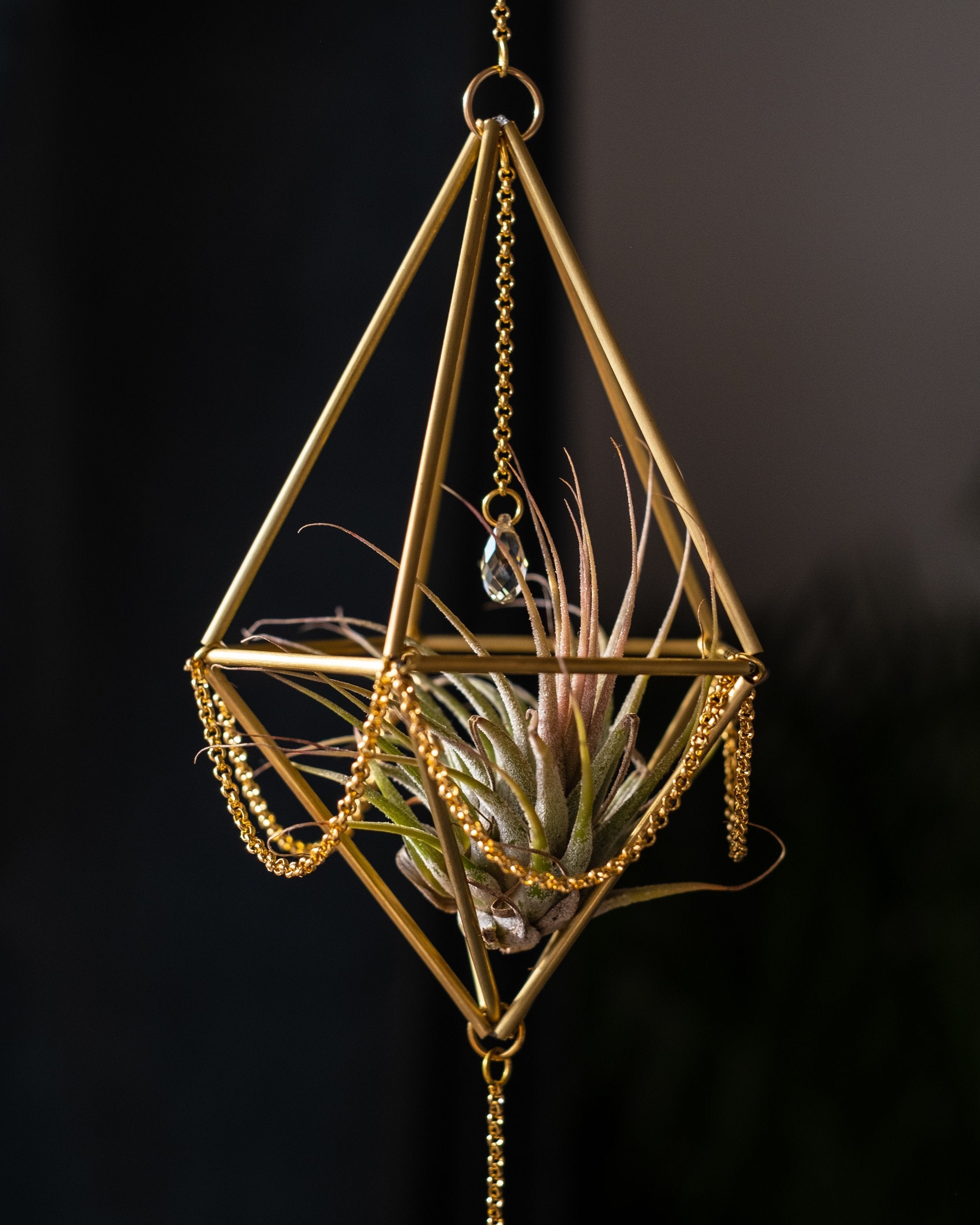 Himmeli № 013 - plantsnobiety