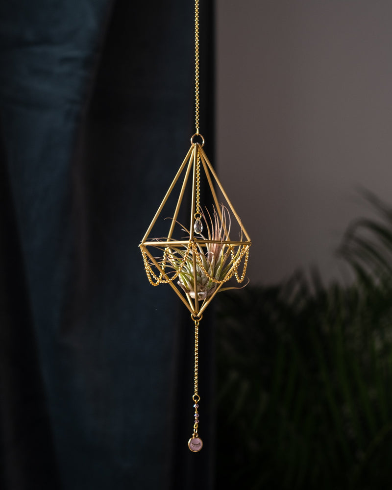 Himmeli № 013 - plantsnobiety