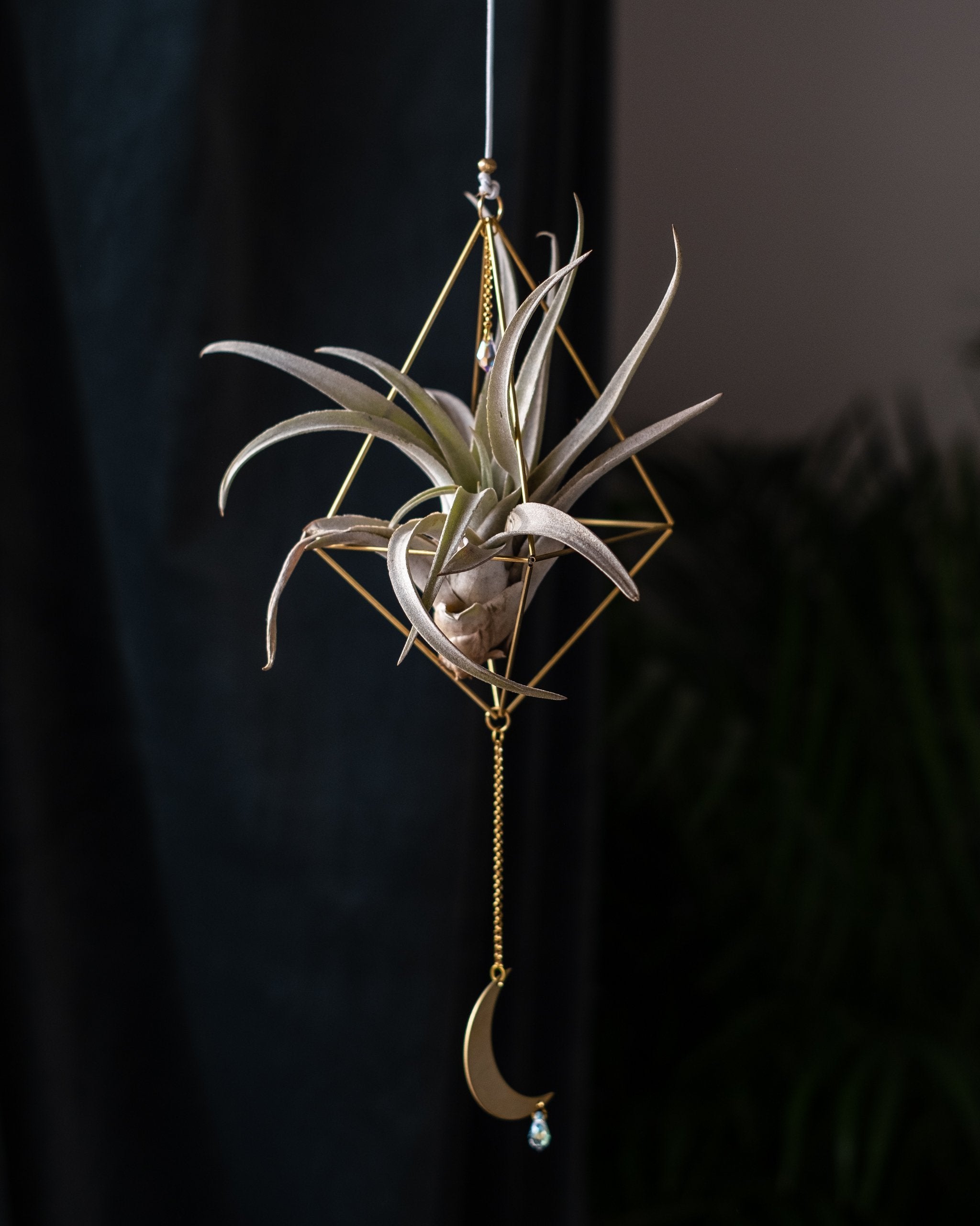 Himmeli № 015 - plantsnobiety