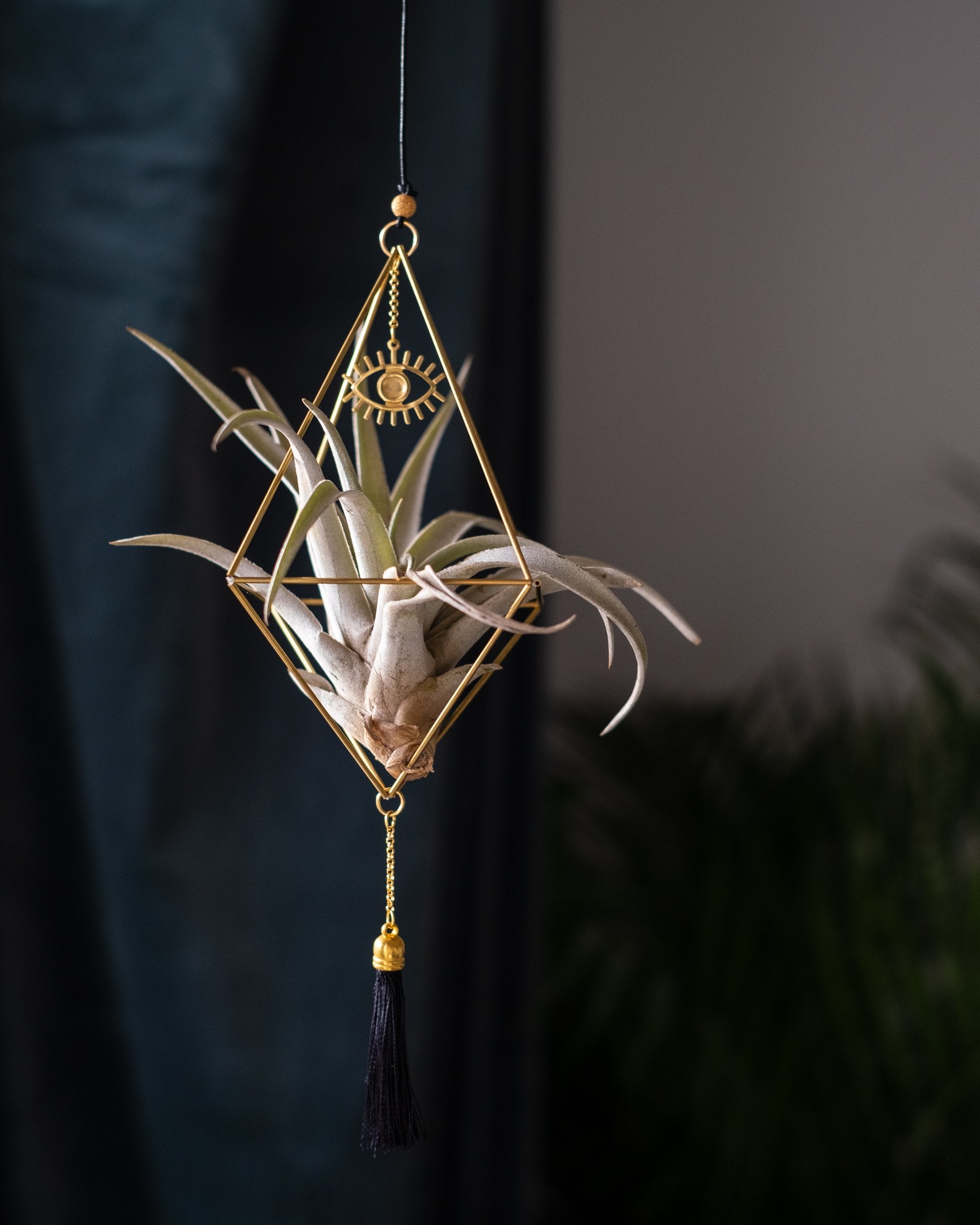 Himmeli № 016 - plantsnobiety