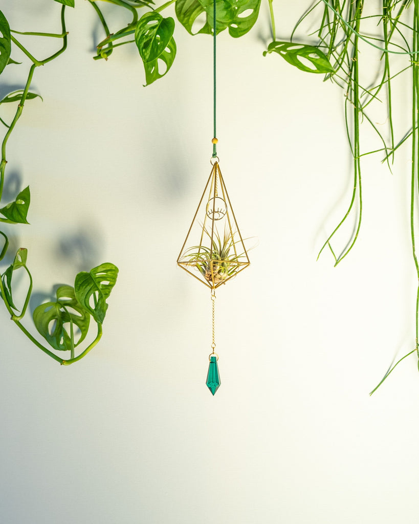 himmeli air plant Himmeli № 023