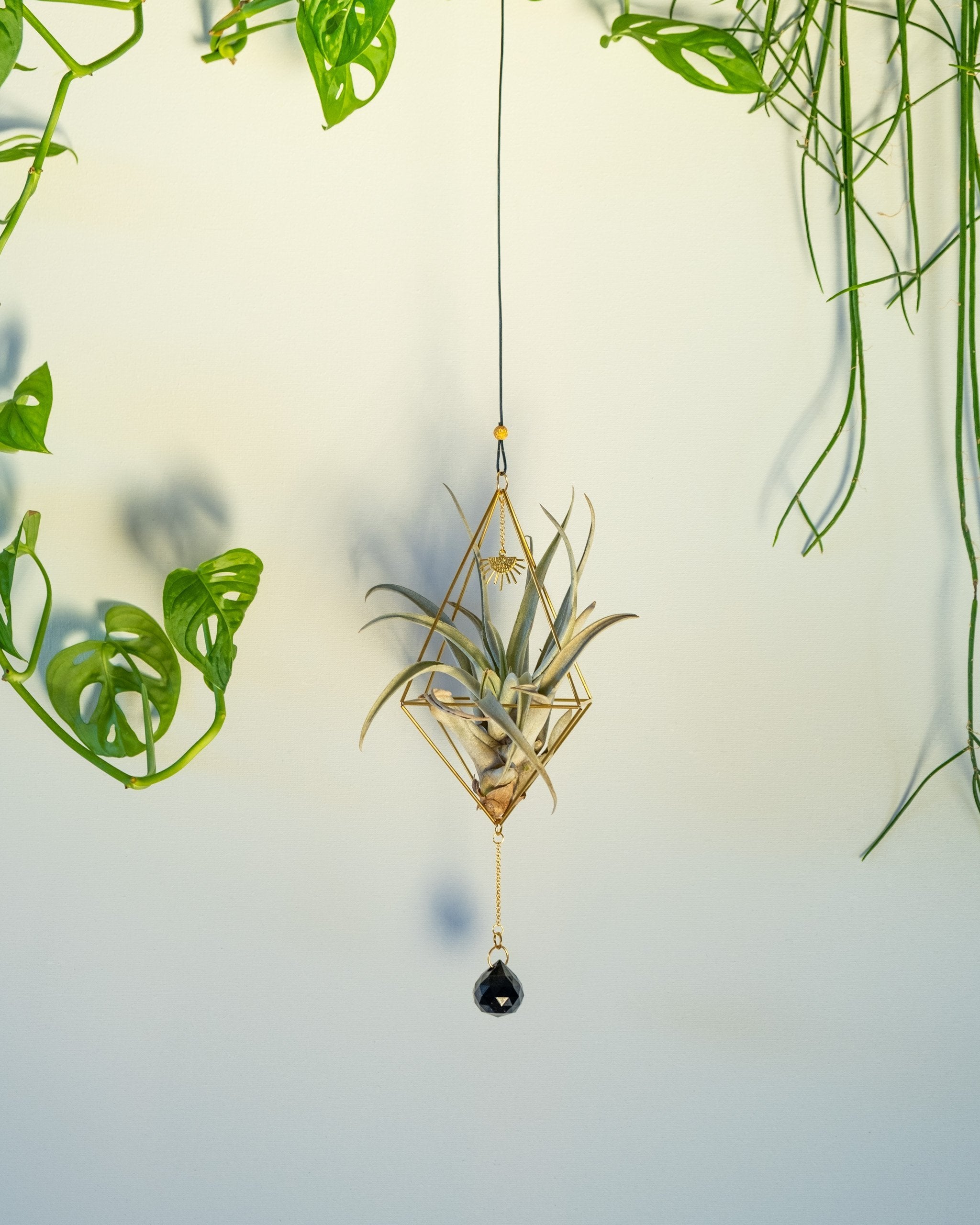 Himmeli № 025 - plantsnobiety