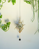 Himmeli № 025 - plantsnobiety