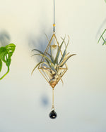 Himmeli № 025 - plantsnobiety