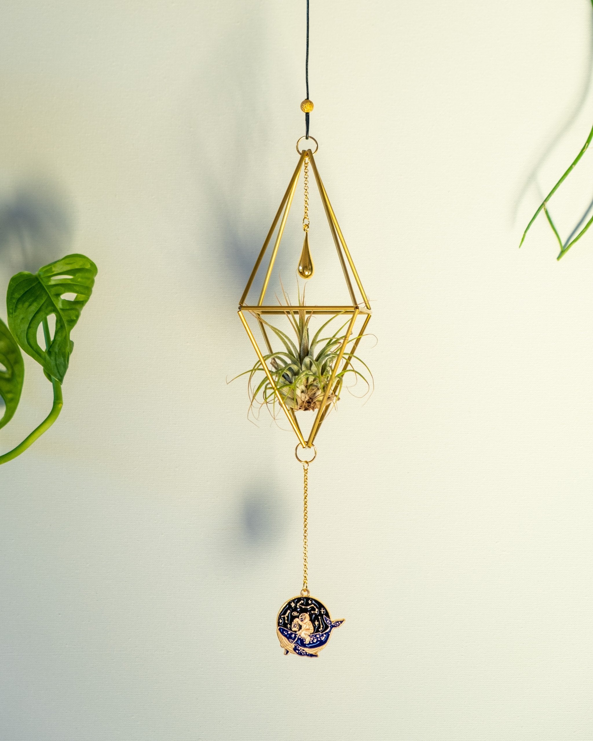 Himmeli № 026 - plantsnobiety