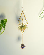 Himmeli № 026 - plantsnobiety