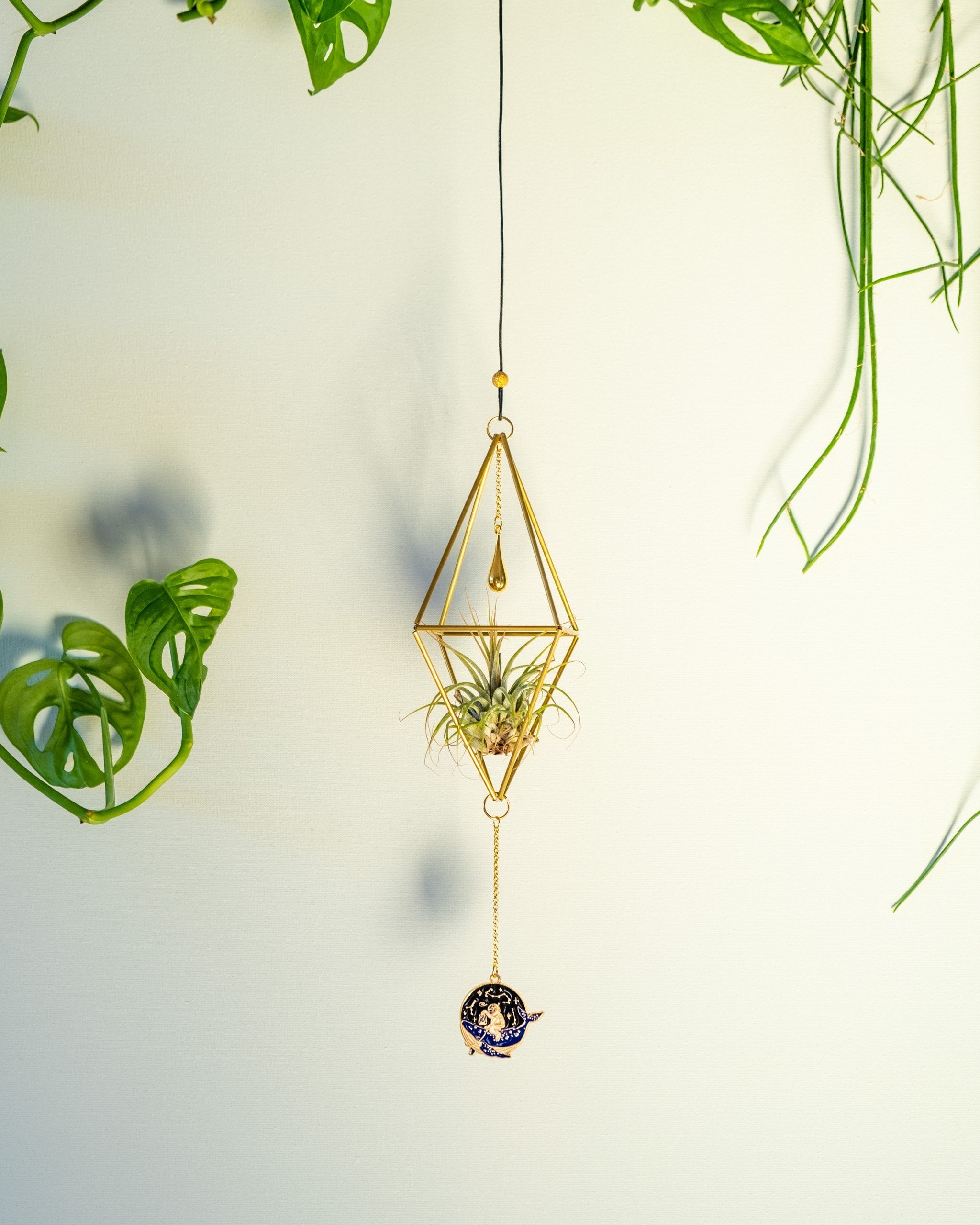 Himmeli № 026 - plantsnobiety