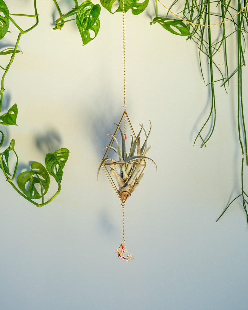 Himmeli № 027 - plantsnobiety