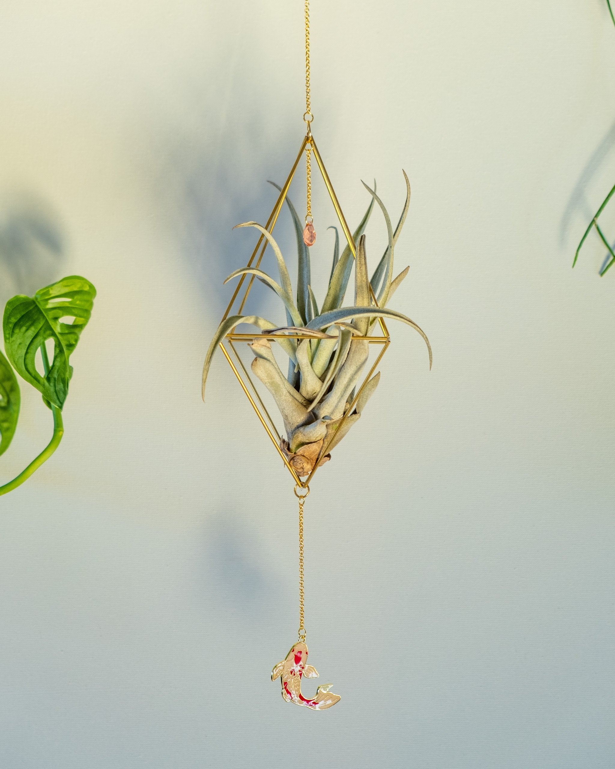 Himmeli № 027 - plantsnobiety