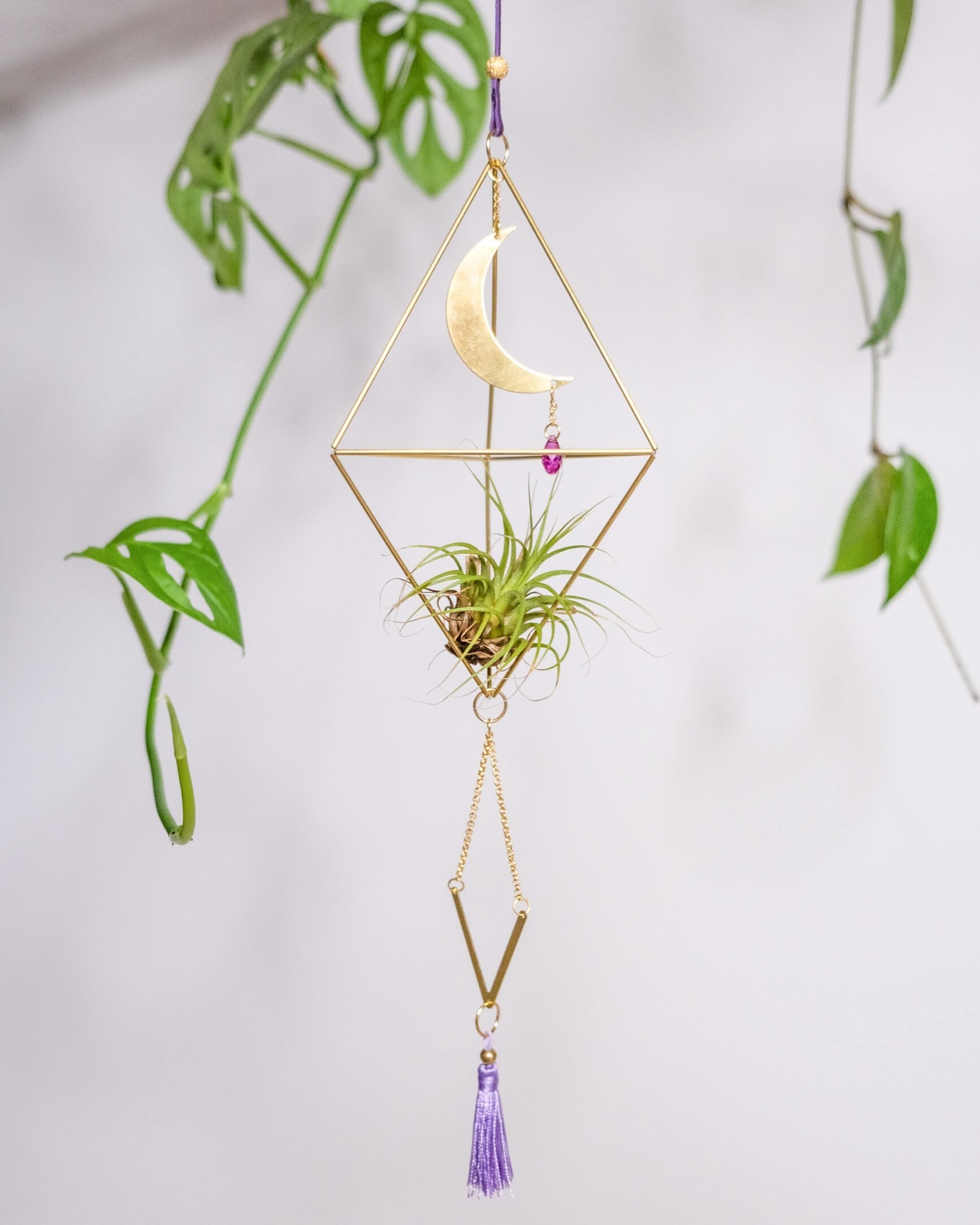 Himmeli № 029 - plantsnobiety