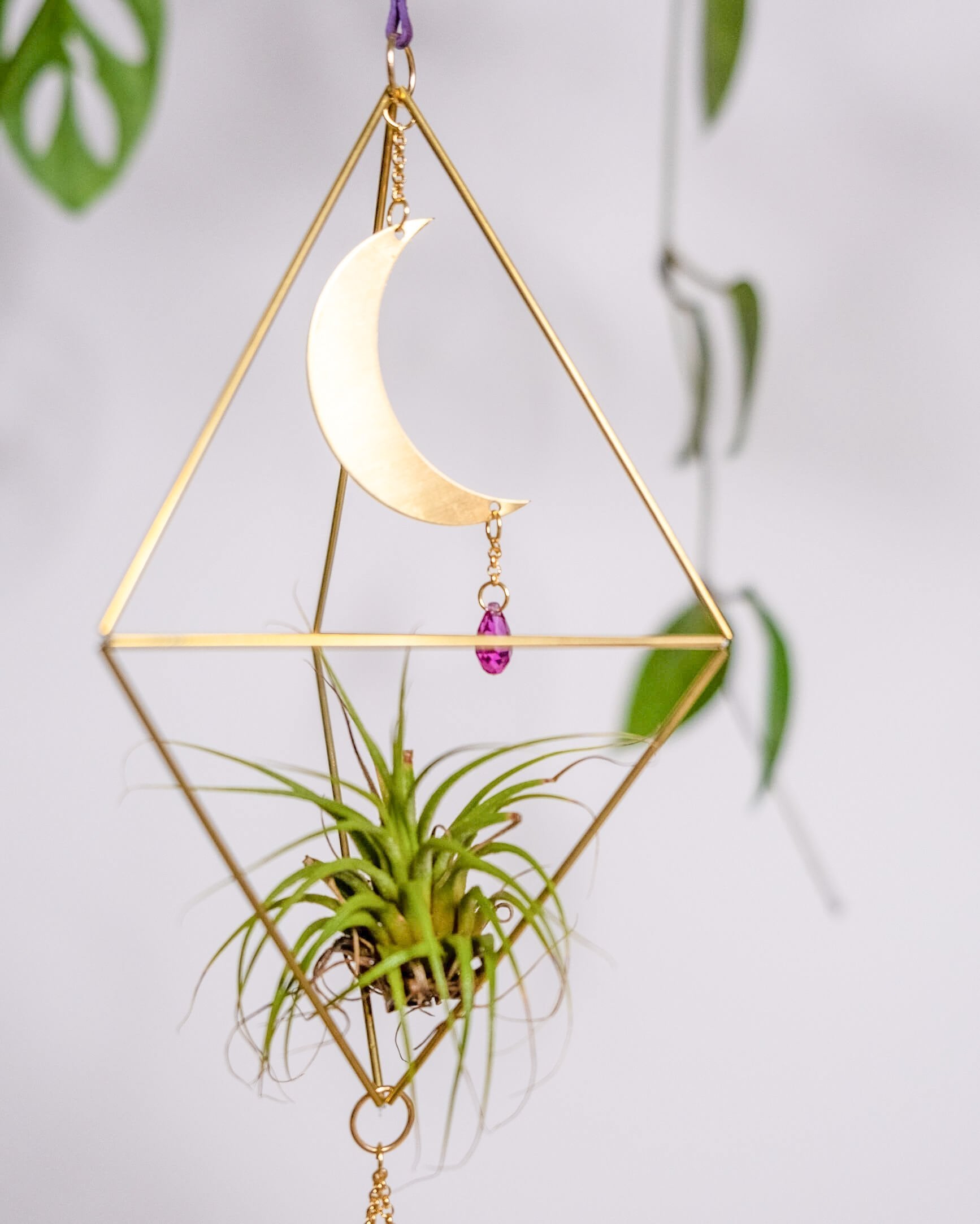 Himmeli № 029 - plantsnobiety