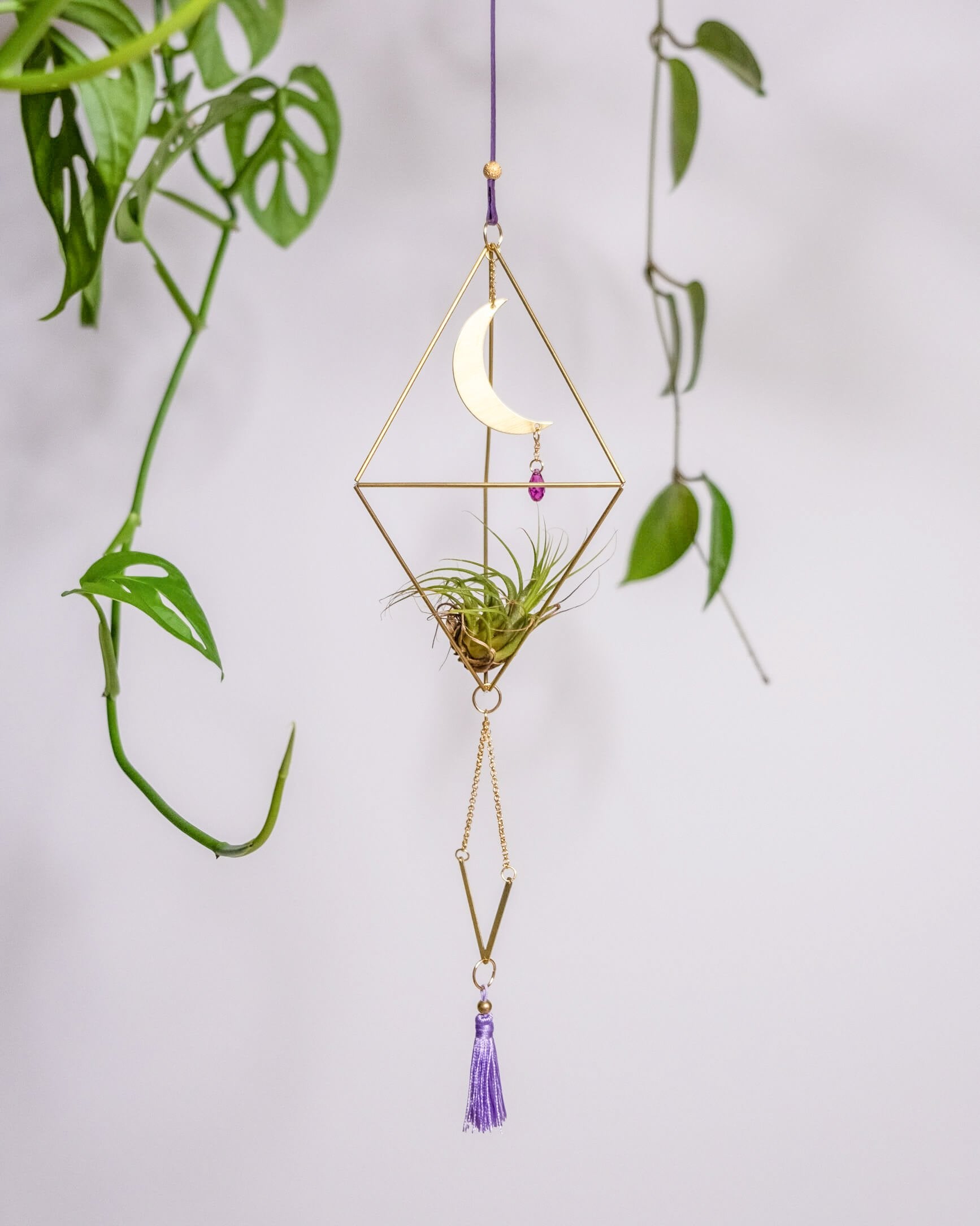 Himmeli № 029 - plantsnobiety