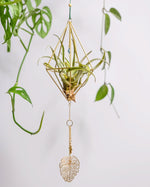 Himmeli № 031 - plantsnobiety