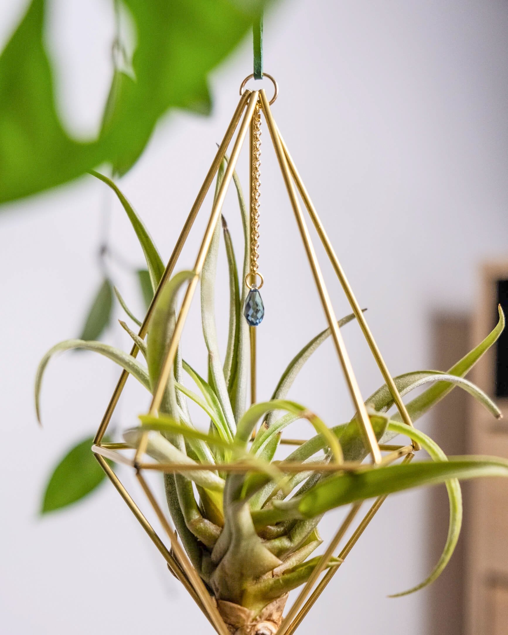 Himmeli № 031 - plantsnobiety