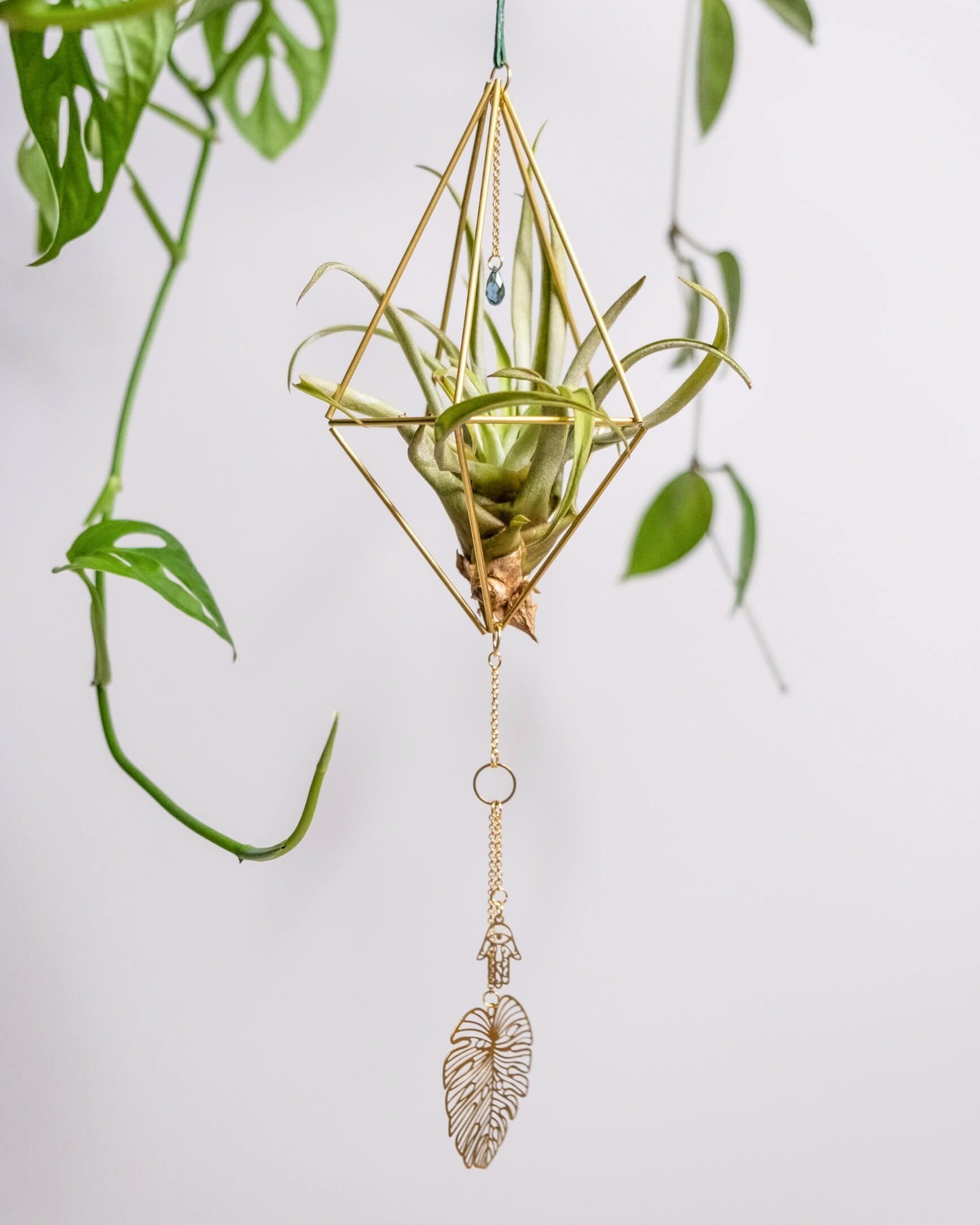 Himmeli № 031 - plantsnobiety