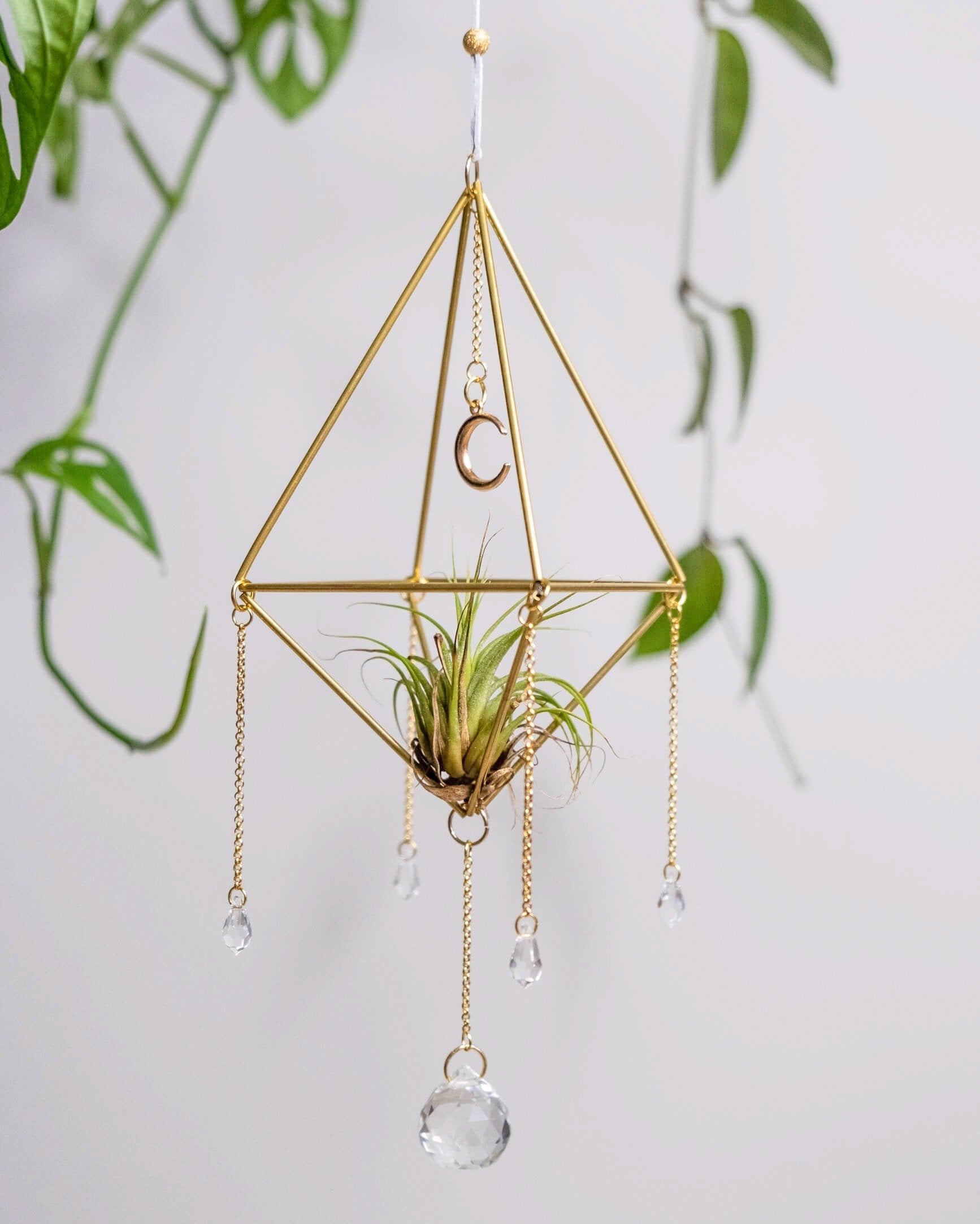 Himmeli № 032 - plantsnobiety