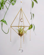 Himmeli № 032 - plantsnobiety