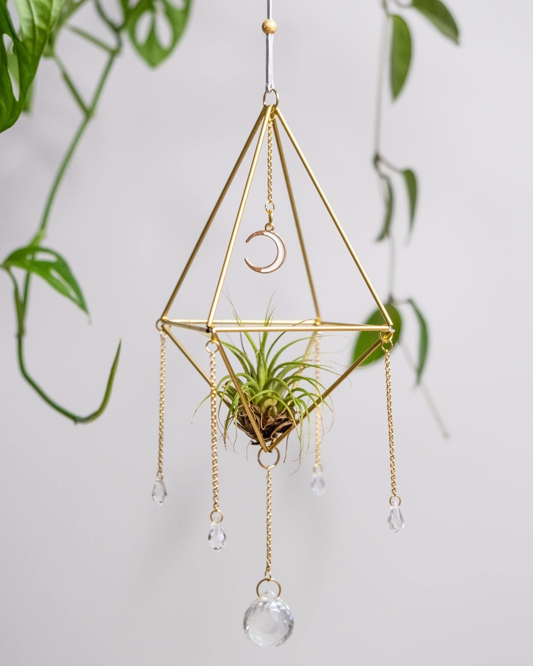 Himmeli № 032 - plantsnobiety