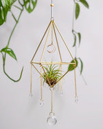 Himmeli № 032 - plantsnobiety