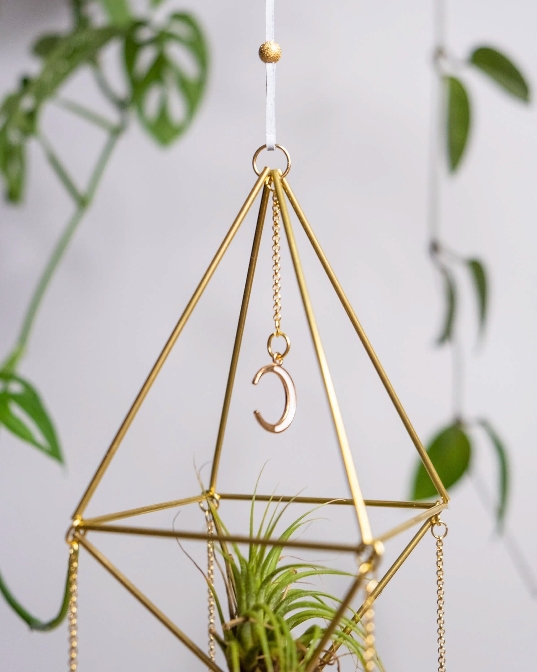 Himmeli № 032 - plantsnobiety