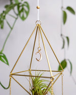 Himmeli № 032 - plantsnobiety