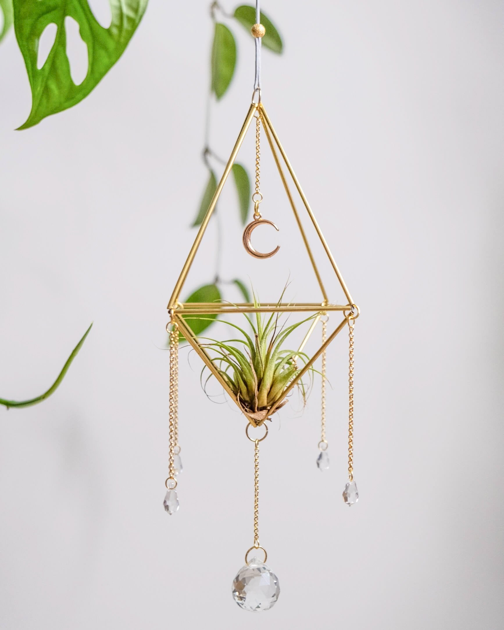 Himmeli № 032 - plantsnobiety