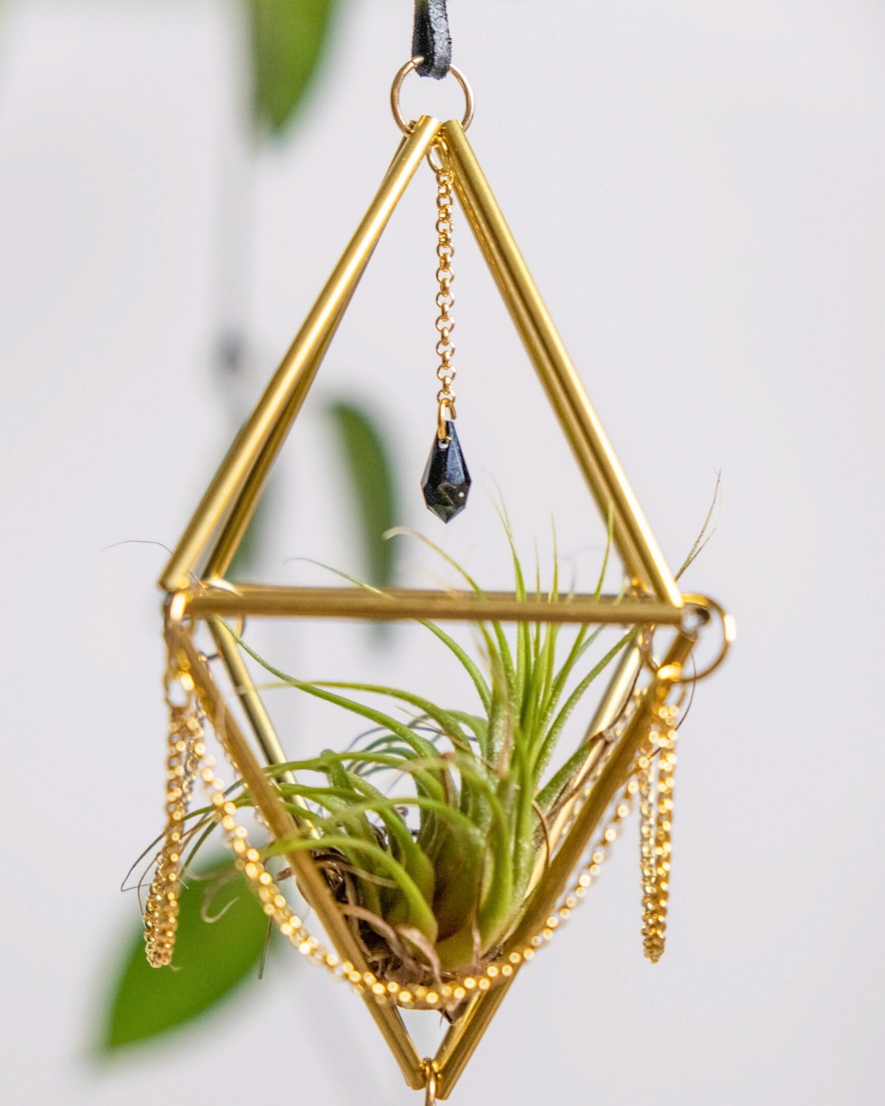 Himmeli № 033 - plantsnobiety