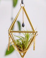 Himmeli № 033 - plantsnobiety