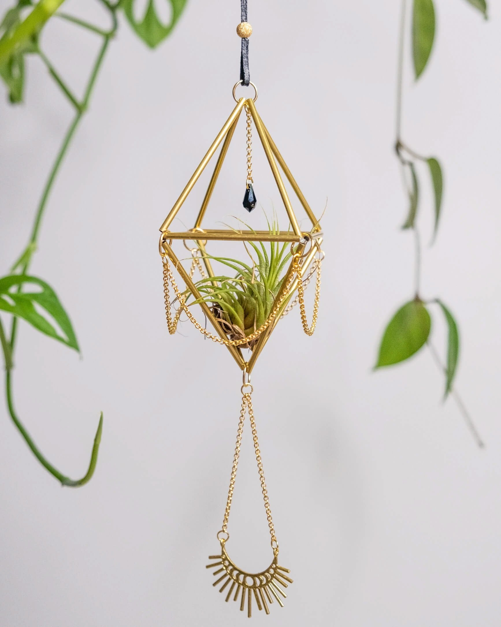 Himmeli № 033 - plantsnobiety