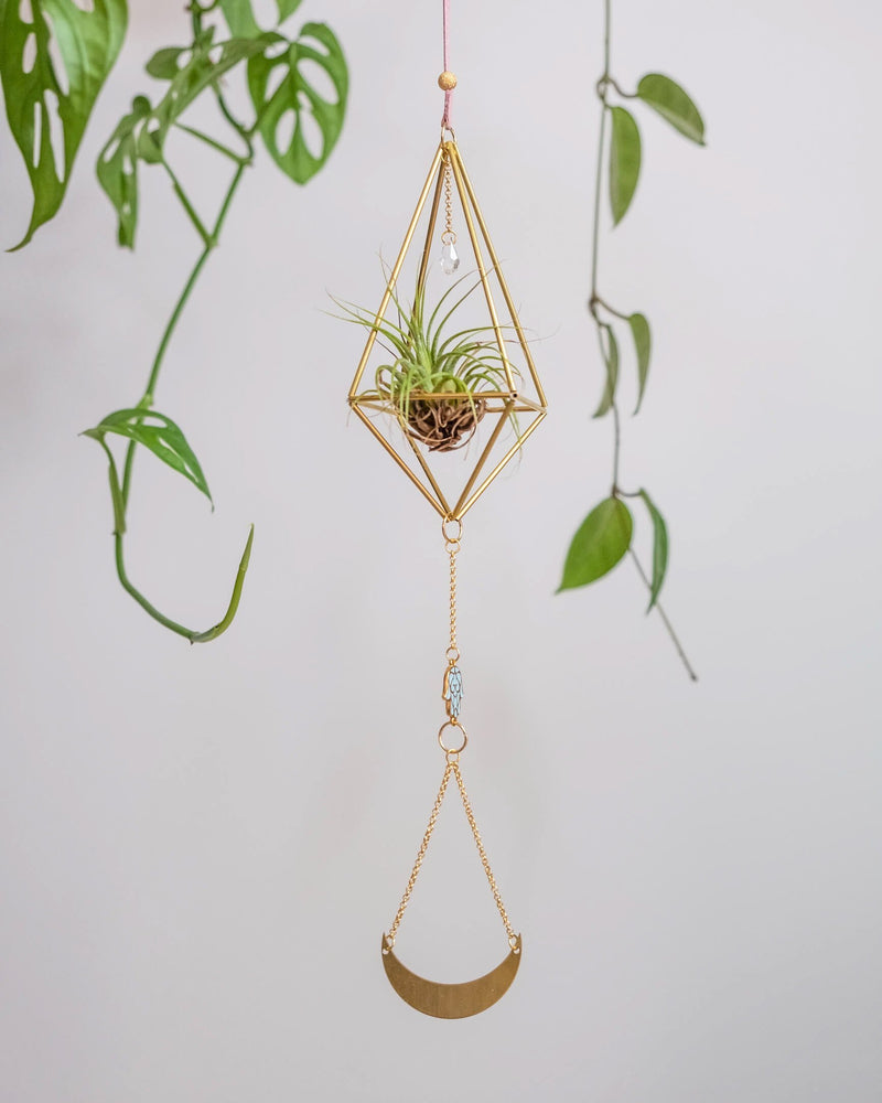 Himmeli № 034 - plantsnobiety